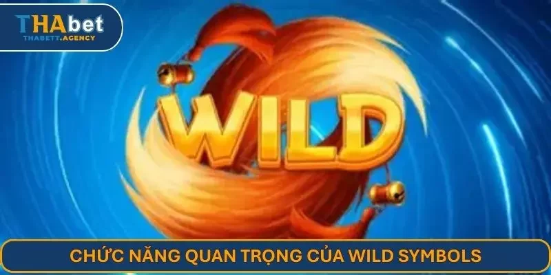 Chức năng quan trọng của wild symbols