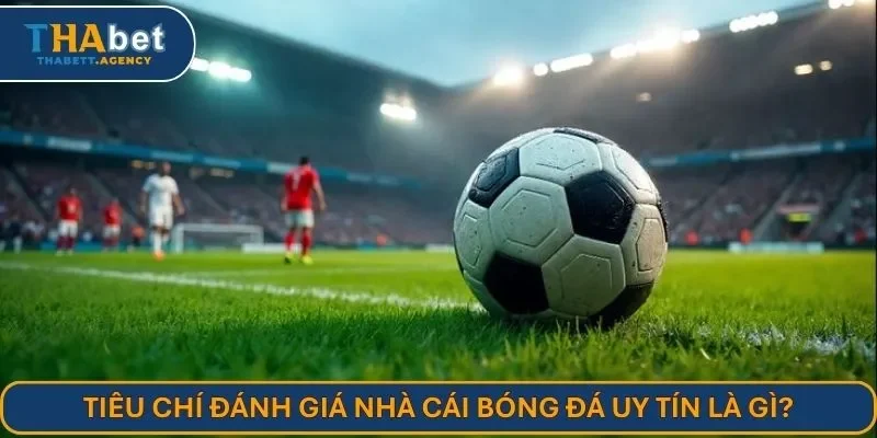 Tiêu chí đánh giá nhà cái bóng đá uy tín là gì?